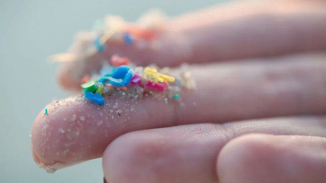 La investigación revela que los microplásticos y los nanoplásticos se acumulan a niveles más altos en el cerebro que en el hígado y el riñón.