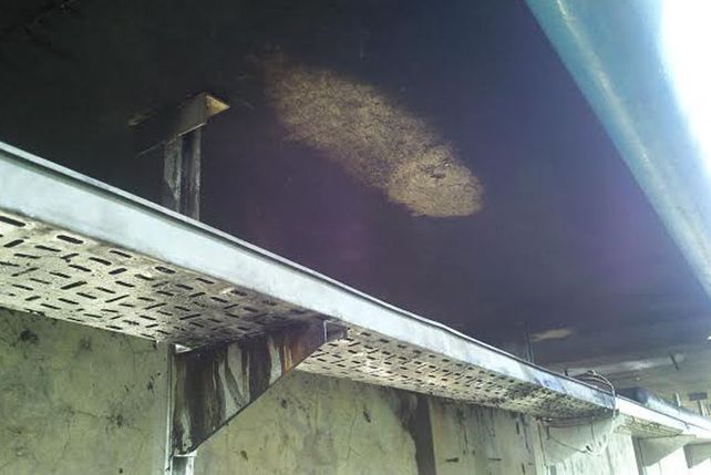 La línea eléctrica dañada.