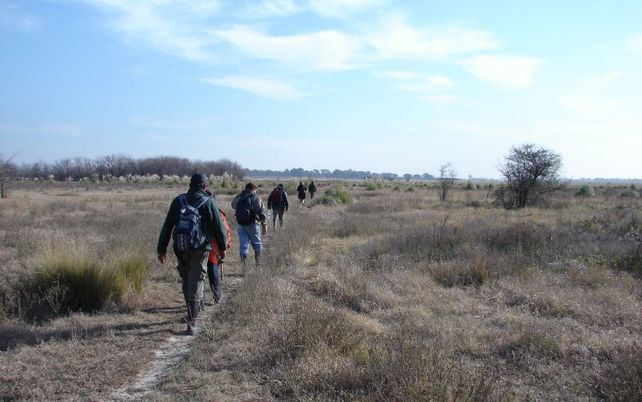 Parque Nacional Ciervo de los Pantanos.&nbsp;