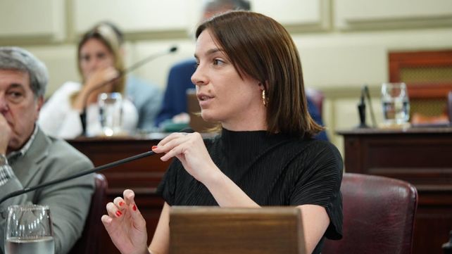 La diputada provincial justicialista