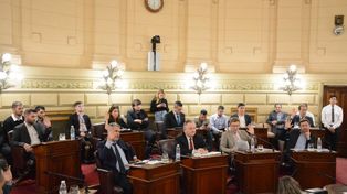 El Senado, la primera estación legislativa de la reforma previsional impulsada por el gobierno de Maximiliano Pullaro.&nbsp;