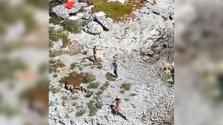Rescataron a tres cubanos que llevaban 33 días en una isla desierta alimentándose únicamente con cocos