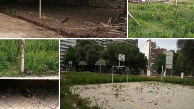 Sin mantenimiento. El patio del colegio, plagado de malezas.