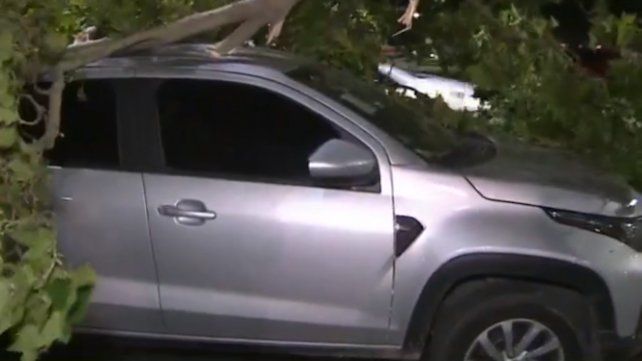 Fue a buscar su camioneta y la encontró aplastada por dos grandes ramas