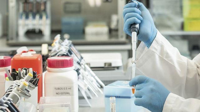 Coronavirus: comienza la distribución del suero equino hiperinmune desarrollado en Argentina