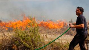 El actor Damián De Santo salió a luchar cara a cara con los incendios forestales