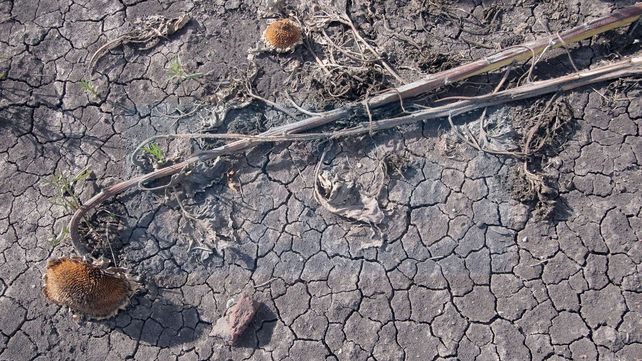 Intendentes de la provincia advierten a la población sobre las consecuencias de la emergencia hídrica e ígnea por la sequía y los focos de incendios&nbsp;