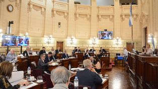 Sacando a la actual vicegobernadora Alejandra Rodenas, que preside la Cámara, hay sola una mujer en un ámbito dominado solo por hombres.