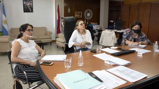 La Ley&nbsp; Brisa busca garantizar los derechos de niñas, niños y adolescentes cuyos progenitores fueron víctimas de violencia de género.
