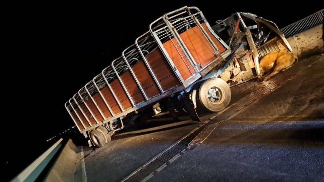 Un choque entre un camión que transportaba ganado y un utilitario en la ruta 174 dejó varios heridos graves