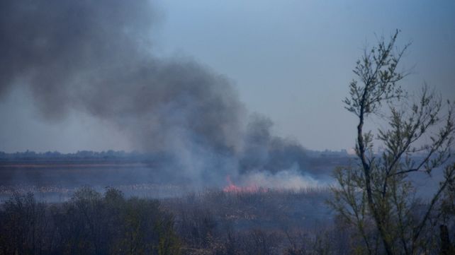 El monitoreo constante es crucial para saber qué hacer ante la aparición cualquier fuego en las islas.