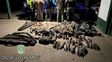 Ofensiva contra la depredación en Santa Fe: secuestraron 15 toneladas de pescado ilegal y desbarataron un tour de caza para franceses