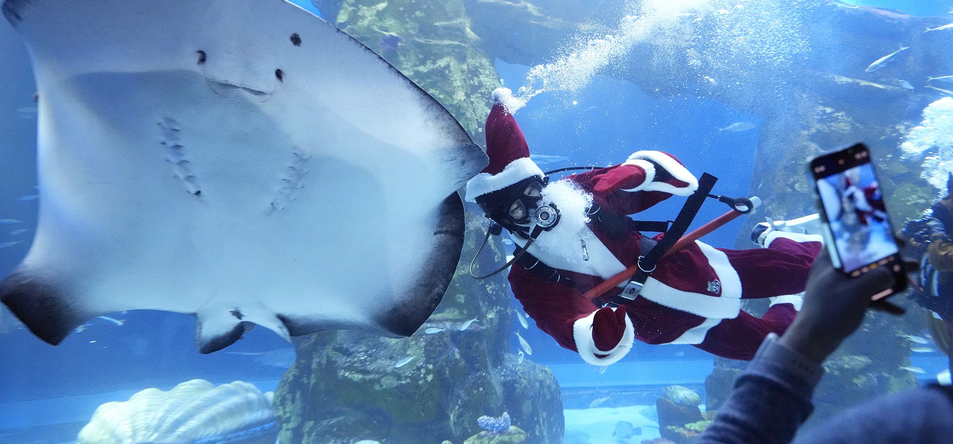 Un buzo vestido con un disfraz de Papá Noel nada en el Lotte World Aquarium en Seúl, Corea del Sur, el lunes 23 de diciembre de 2024. (Foto AP/Ahn Young-joon)