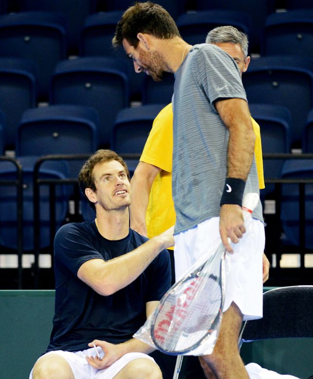Cracks. Andy Murray y Delpo