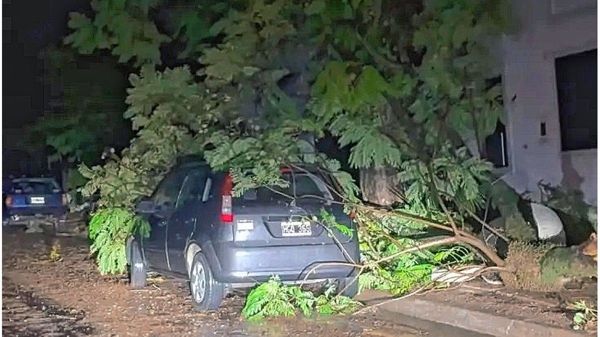 Temporal en Entre Ríos: operativo para asistir a las localidades afectadas