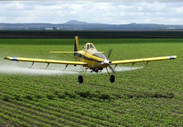Agroquímicos: qué dice la ley Berteroy qué le cuestionan sus detractores