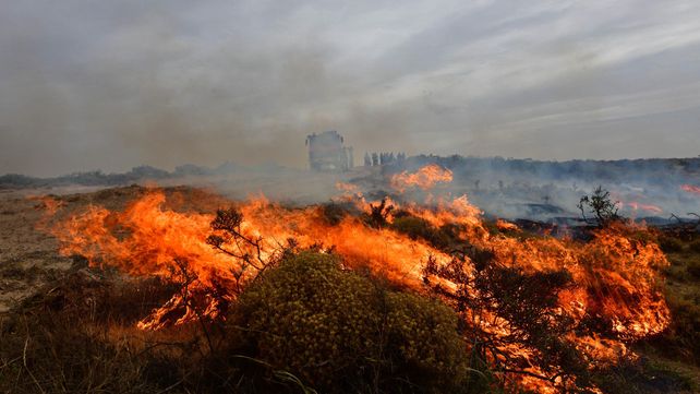 Cuarto días de incendios en Puerto Madryn: aseguran que el foco está circunscripto
