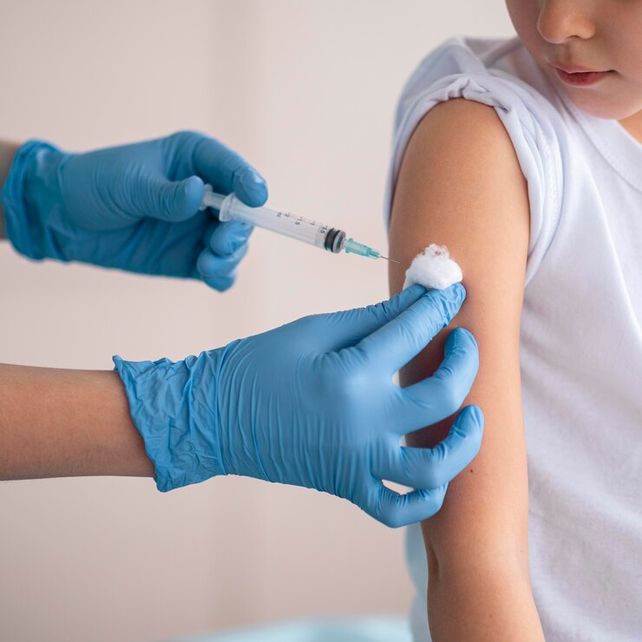 Las dosis contra el dengue serán entregadas en etapas y la primera está prevista a fines de agosto.