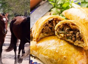 Venden carne de caballo y la disfrazan en las empanadas