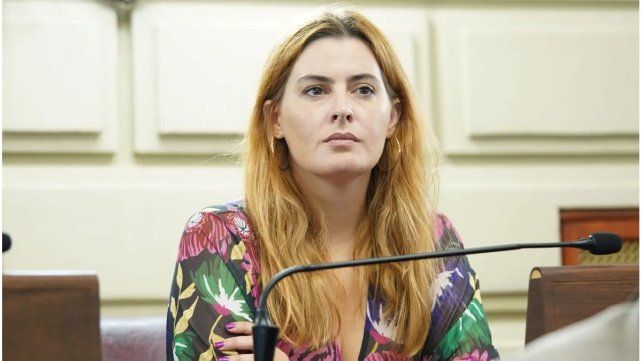 “Solo una de cuatro mujeres que sufre violencia de género o abuso sexual va a la Justicia” afirma la diputada provincial del Partido Socialista