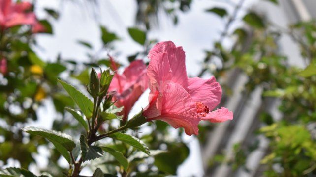 La primavera en la ciudad de Santa Fe