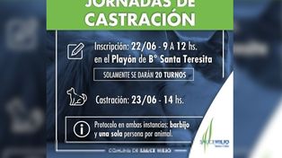 Campaña de castración en Sauce Viejo