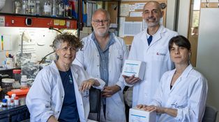 Anmat aprobó un test nacional para detectar el virus del dengue