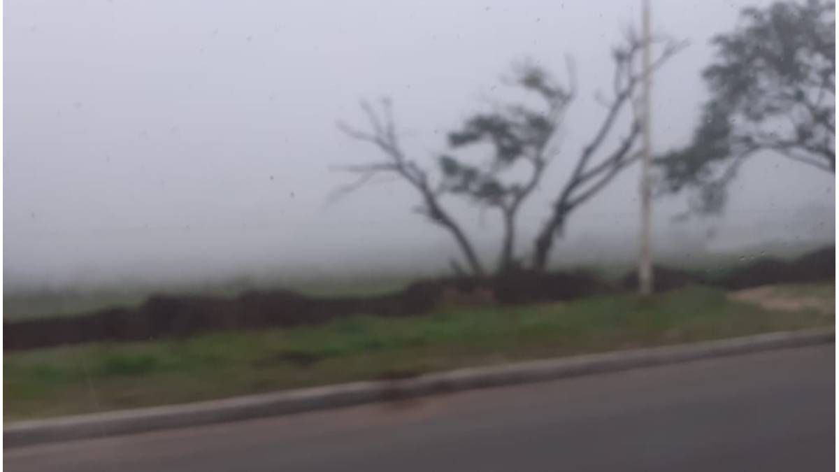 Entre Ríos: el SMN emitió una alerta violeta por presencia de bancos de niebla