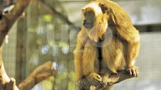 Granja La Esmeralda: un paseo por la naturaleza que nadie se pierde