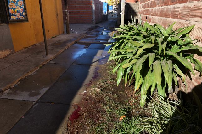 En los Fonavi de Monte Flores al 7000 ocurrieron 4 crímenes en 14 meses.