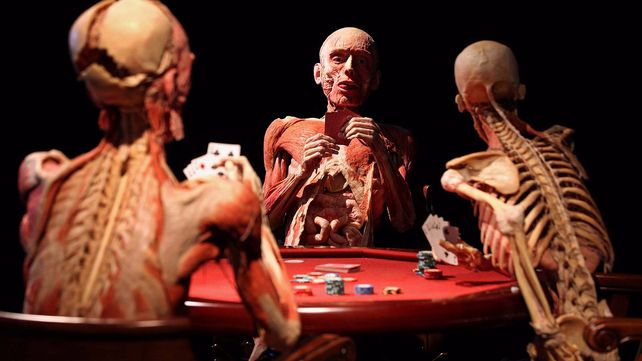 El museo de anatomía Body Worlds en Londres exhibe increíbles figuras