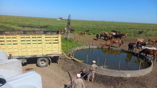 El gobierno provincial reabrió una línea para los productores ganaderos afectados por la sequía.
