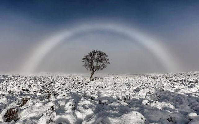 Fogbow