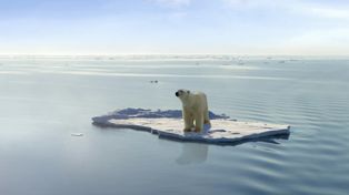 La superficie de los océanos alcanzó una temperatura récord que arañó los 21 grados