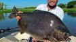 Histórica captura de un pacú de 13 kilos en el río Paraná. Histórica captura de un pacú de 13 kilos en el río Paraná.