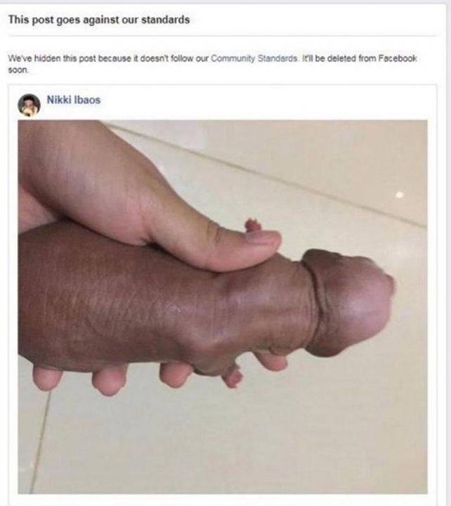 Le censuraron la foto porque su perro se perece a un pene