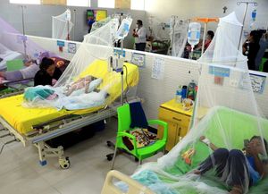 La OMS alertó que el mosquito del dengue aumenta en todo el Cono Sur