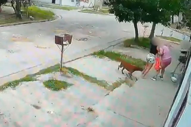 Intentó prender fuego a otra mujer y quedó en libertad: el MPA apelará las medidas alternativas