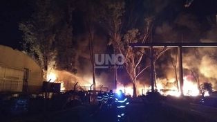 Buscan determinar qué causó el incendio en el Parque Industrial