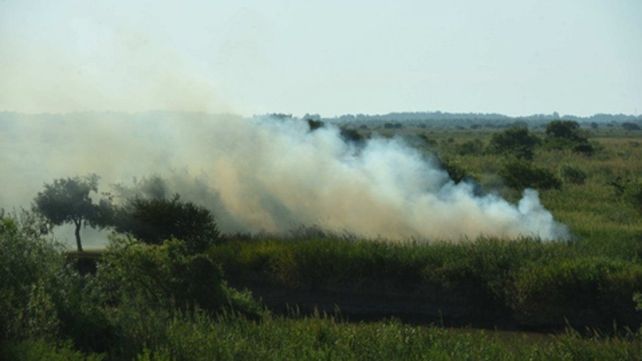En lo que va del año hubo 20 incendios por día en la zona de islas