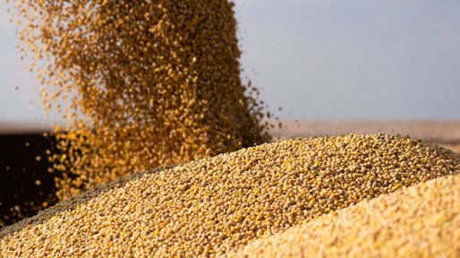 El campo puede darle impulso a la economía en el segundo semestre si acelera la venta de soja