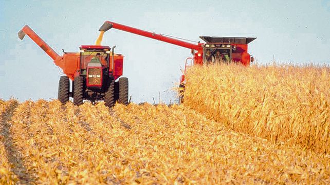 El maíz sale más golpeado con las nuevas retenciones