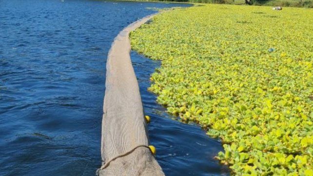 Personal municipal colocó una malla de contención que permitirá evitar el desplazamiento de la vegetación acuática