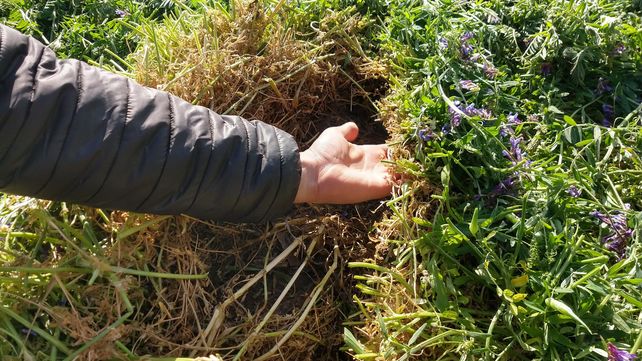 La familia que apuesta por un modelo agrícola con más colores