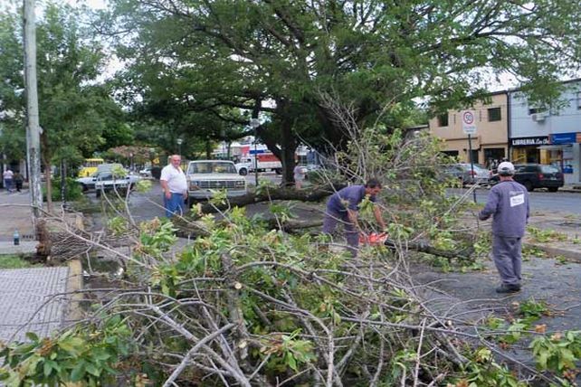 Llegó la lluvia y provocó destrozos: sigue el alerta por tormentas fuertes