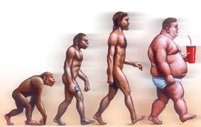 El mono obeso. Los deportólogos impulsan el paradigma de la actividad física y la dieta saludable en oposición al del sedentarismo y la comida chatarra.