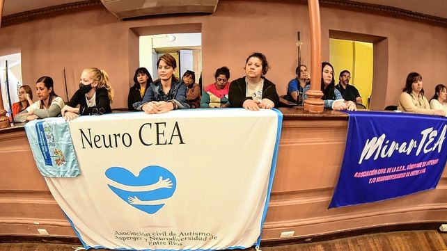 Diputados aprobó la adhesión a la ley nacional de autismo