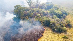 Dos focos de incendios forestales en los Esteros del Iberá, Corrientes, consumieron al menos dos hectáreas