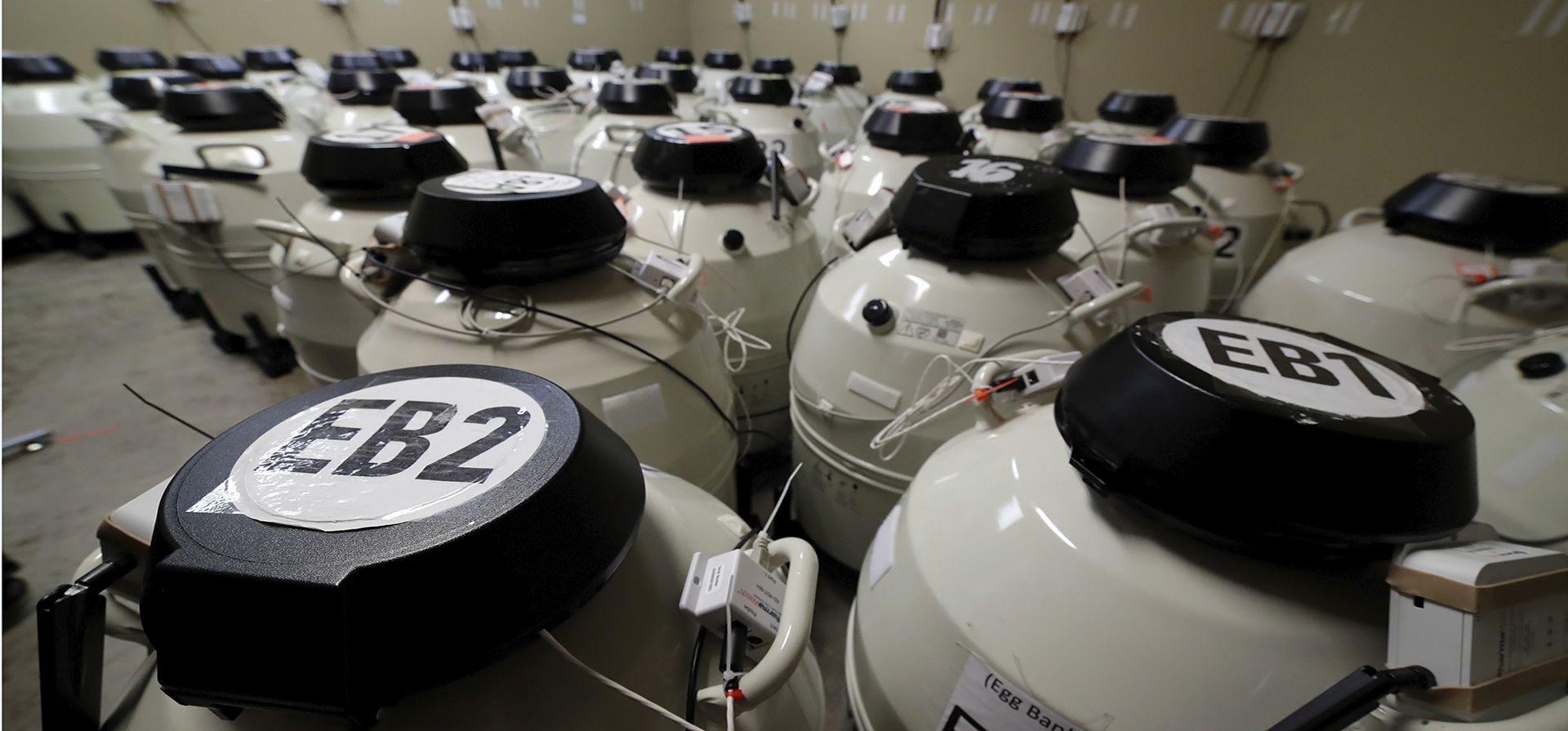 Una sala llena de contenedores de almacenamiento criogénico más pequeños, cada uno capaz de contener aproximadamente 150 muestras de óvulos sumergidos en nitrógeno líquido, en una de las áreas de almacenamiento seguras del laboratorio de fertilización in vitro del Instituto de Fertilidad Aspire Houston, en Houston. (Foto AP/Michael Wyke) Una sala llena de contenedores de almacenamiento criogénico más pequeños, cada uno capaz de contener aproximadamente 150 muestras de óvulos sumergidos en nitrógeno líquido, en una de las áreas de almacenamiento seguras del laboratorio de fertilización in vitro del Instituto de Fertilidad Aspire Houston, en Houston. (Foto AP/Michael Wyke)