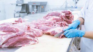 La importación de carne de cerdo de Brasil obliga a competir por los precios y se pierde rentabilidad